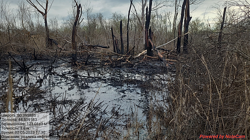 В Волгоградской области инспекторы Росприроднадзора установили факт загрязнения почвы нефтепродуктами