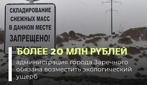 Суд поддержал требования Росприроднадзора о взыскании вреда, причиненного почвам при складировании снежных масс.