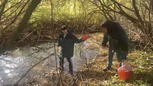 МУП ЖКХ г. Новосокольники Псковской области должно возместить вред, причиненный реке Выдега 