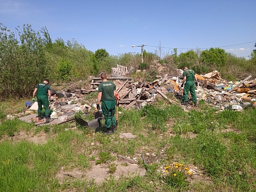 Ущерб почвам от несанкционированной свалки в Богородском районе Нижегородской области возместит собственники земельного участка