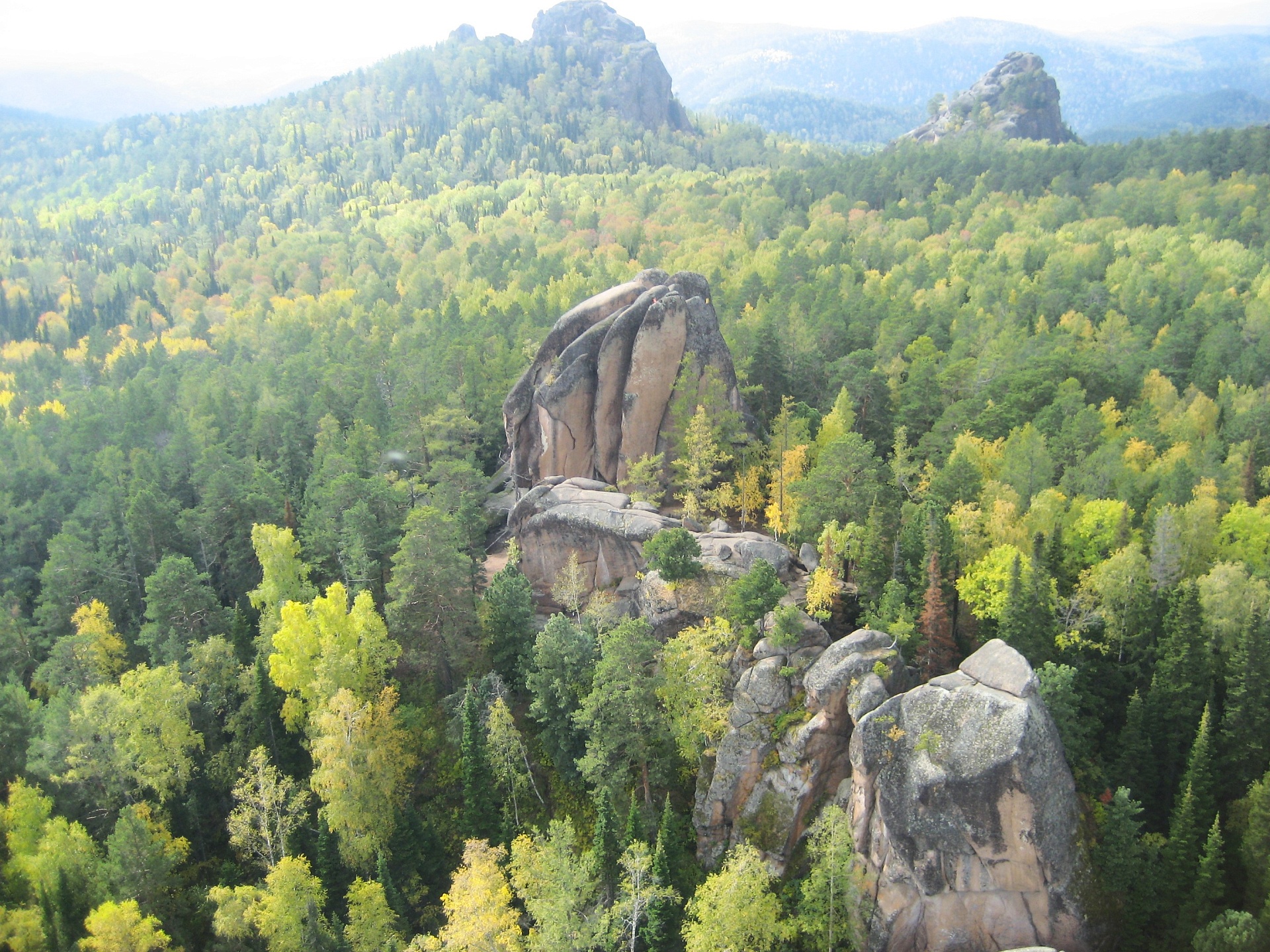 14 октября - День работников заповедного дела