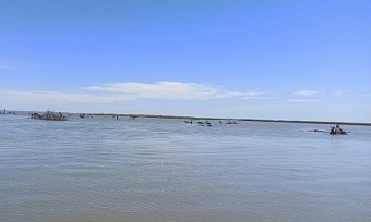 Сотрудники Росприроднадзора приняли участие в обследовании состояния устья р. Кубань.