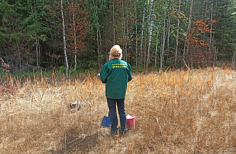 Ущерб от незаконного сбора черного металла в Пермском крае превысил 89 млн рублей