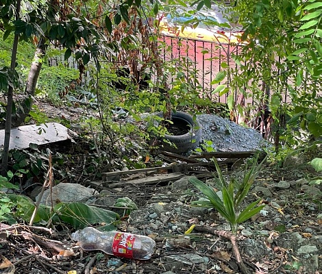 Суд удовлетворил требования Росприроднадзора о взыскании суммы вреда окружающей среде с администрации г. Сочи