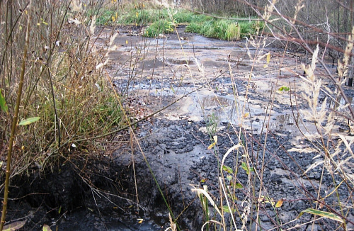 Размер ущерба от загрязнения почвы нефтеотходами в Кстовском районе Нижегородской области превысил 1,9 млн. рублей