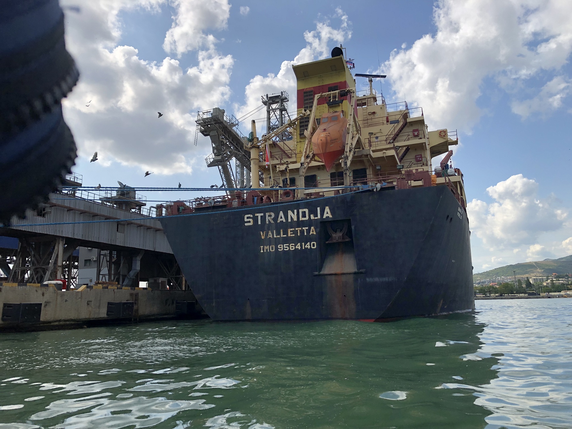 Новороссийский зерновой терминал возместил вред, причиненный Черному морю, в размере 2 млн 194 тыс. рублей