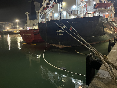 Росприроднадзором взята на контроль аварийная ситуация, связанная с разливом нефтепродуктов в морском порту Новороссийск