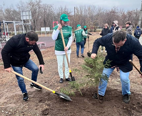 В Омске воспитанники школ Олимпийского резерва посадили еловую аллею