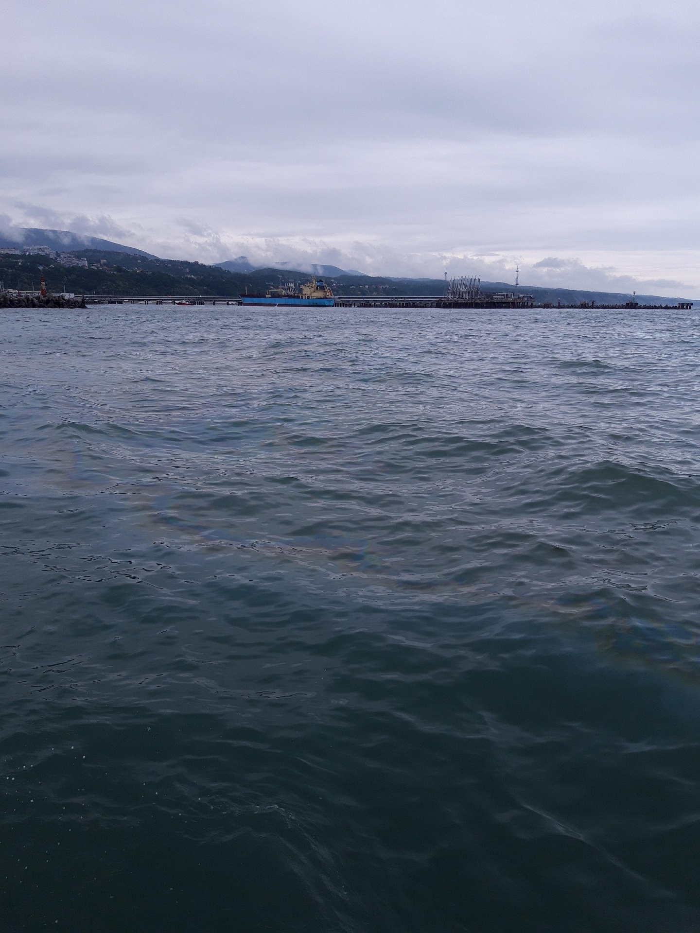 МУП «ЖКХ г. Туапсе» возмещает вред, причиненный Черному морю