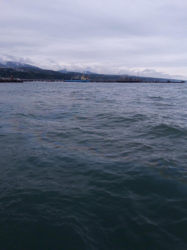МУП «ЖКХ г. Туапсе» возмещает вред, причиненный Черному морю