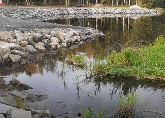 В Карелии выявлено загрязнение почв отходами камнеобработки