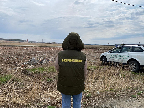 Инспекторы Росприроднадзора провели выездное обследование на территории посёлка Полевой. 