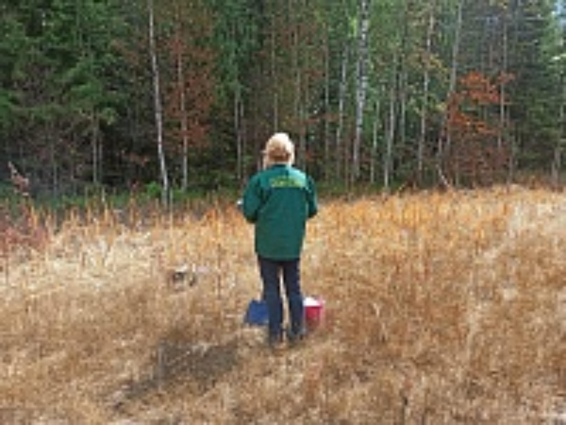 Более 89 млн руб. обязано возместить физическое лицо за причинение вреда почве в Пермском крае