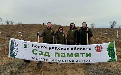 В Волгоградской области сотрудники Росприроднадзора посадили деревья в рамках Международной акции «Сад памяти»