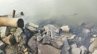 Росприроднадзор требует от виновного в загрязнении р. Индигирка в Республике Саха (Якутия) выплатить ущерб на сумму более чем 124 млн рублей