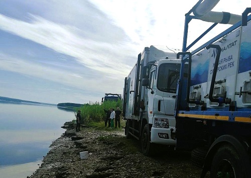 В Красноярском крае сотрудники Росприроднадзора приняли участие в выпуске молоди краснокнижного осетра