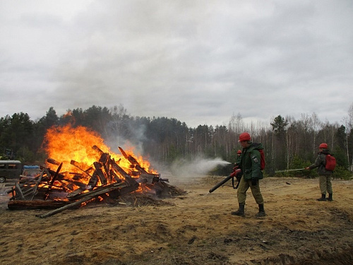 Нижегородская область готовится к предстоящему пожароопасному сезону