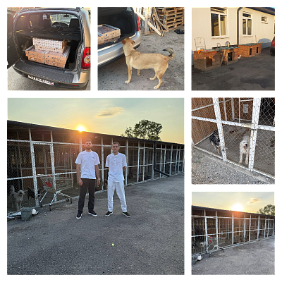 Поддержка Кабардино-Балкарского общества защиты животных «Четыре Лапы»