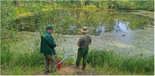 Нижегородский Росприроднадзор в рамках Федерального проекта «Генеральная уборка» провел обследование Бурнаковской низины