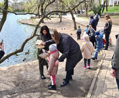 В Краснодаре сотрудники Росприроднадзора с детьми сделали кормушки для птиц и развесили их в парке