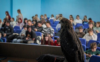 Пернатые гости приняли личное участие во встрече, посвящённой теме обращения с дикими хищными птицами