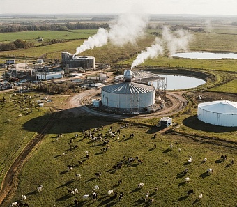 Росприроднадзор разрабатывает новую методику анализа выбросов от неорганизованных объектов животноводства