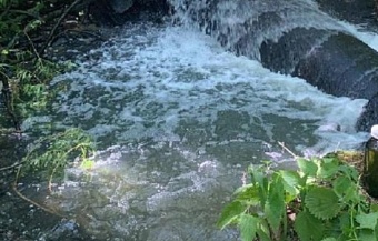 В Тамбовской области нарушители ответят за загрязнение почв