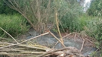 ООО «Биоканал» обязано возместить нанесенный вред почвам в Кировской области