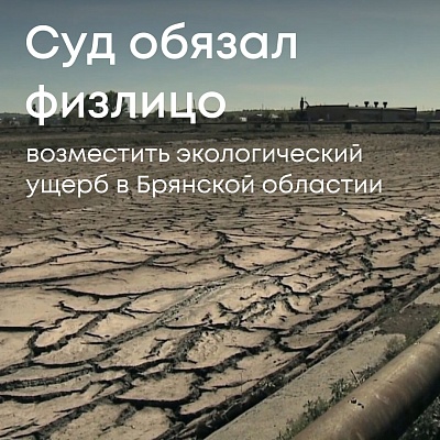 По материалам Росприроднадзора суд обязал нарушителя выплатить более 21 млн рублей за незаконное размещение отходов