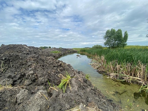 Сотрудники Центрально-Черноземного управления Росприроднадзора выявили нарушения природоохранного законодательства при проведении выездного обследования прибрежной полосы рек Битюг и Тихая Сосна