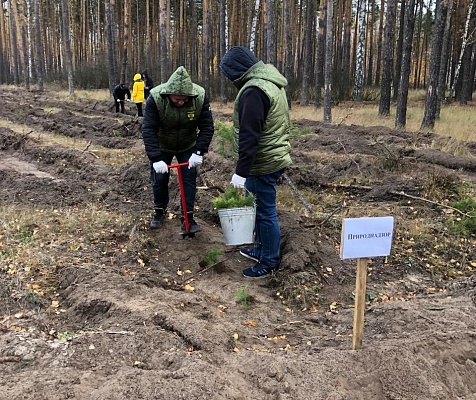 Сотрудники Центрально-Черноземного управления Росприроднадзора приняли участие во Всероссийской акции «Сохраним лес» на территории Липецкой области