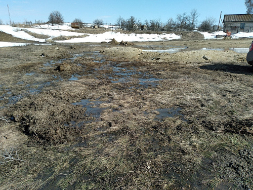 Росприроднадзор совместно с правоохранительными органами выявил факт причинения ущерба почве на территории Нехаевского района Волгоградской области