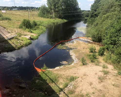 Росприроднадзор по СЗФО проверил реку Серьга в Выборгском районе Ленинградской области