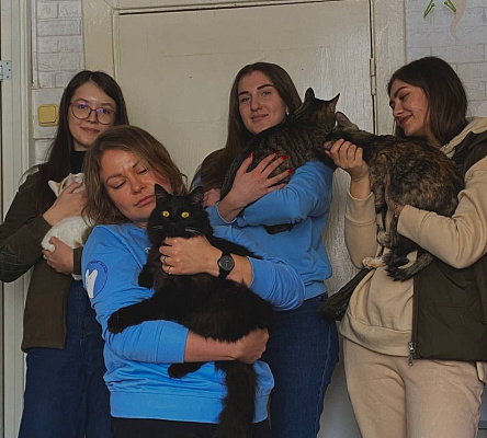 В Самаре сотрудники Росприроднадзора посетили приют для кошек