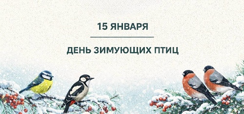 15 января — День зимующих птиц России