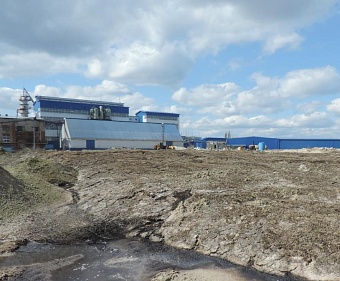 ООО «Кристалл» допустило образование незаконной свалки в Воронежской области