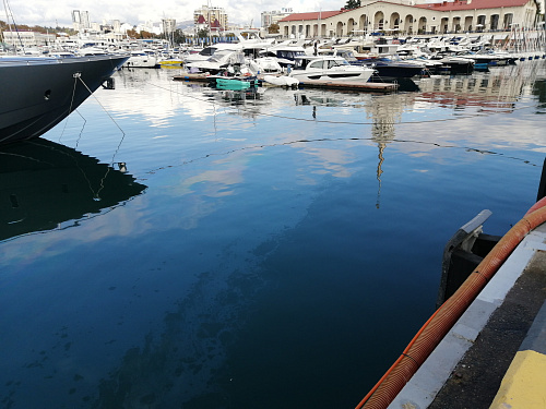 Росприроднадзор принимает меры к установлению лиц, допустивших загрязнение акватории Черного моря в морском порту Сочи 