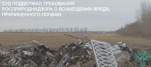 Суд поддержал требования Росприроднадзора о возмещении вреда, причиненного почвам