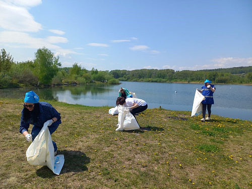 В Кемерово сотрудники Росприроднадзора приняли участие в расчистке берегов реки Томь и озера Красное от мусора