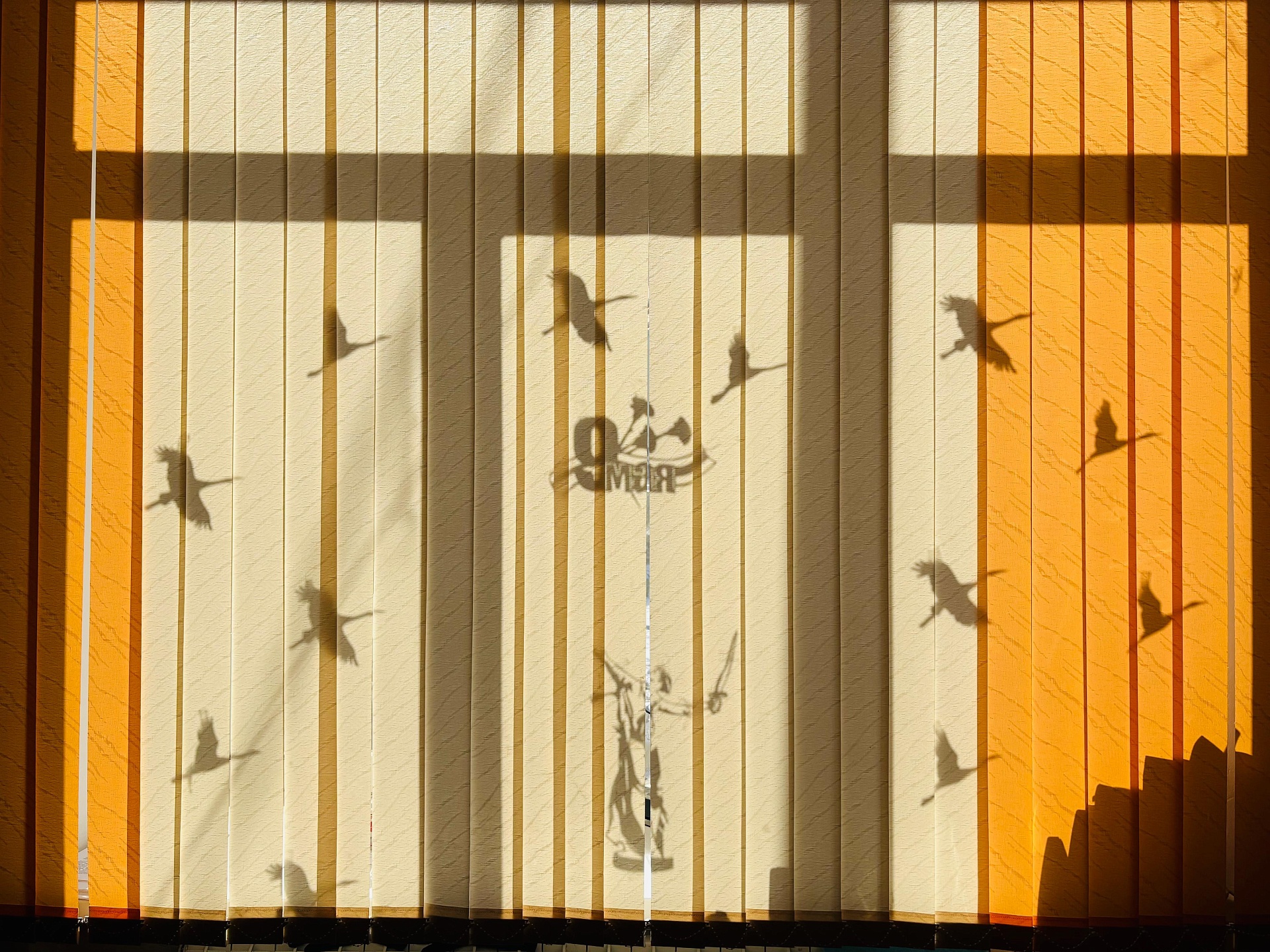 Сотрудники Управления Росприроднадзора по Республике Саха (Якутия) приняли участие во Всероссийских патриотических акциях «Окна Победы» и «Стена Памяти»