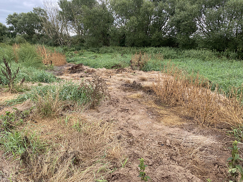 В Калининградской области инспекторы Росприроднадзора выявили загрязнение почвы отходами свинофермы   
