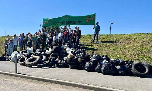 Росприроднадзор и Россельхозбанк  и провели совместную экологическую акцию по очистке пляжа имени Арсеньева г.Владивосток