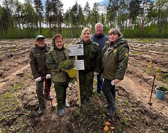 В Мордовии в память об участниках Великой Отечественной войны прошла акция «Сад памяти»