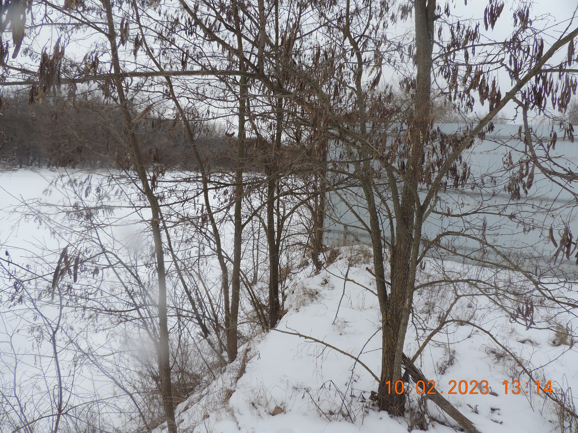 Росприроднадзор вынес предостережение собственникам  земельных участков о недопустимости ограничения свободного доступа к р.Хопер Воронежской области