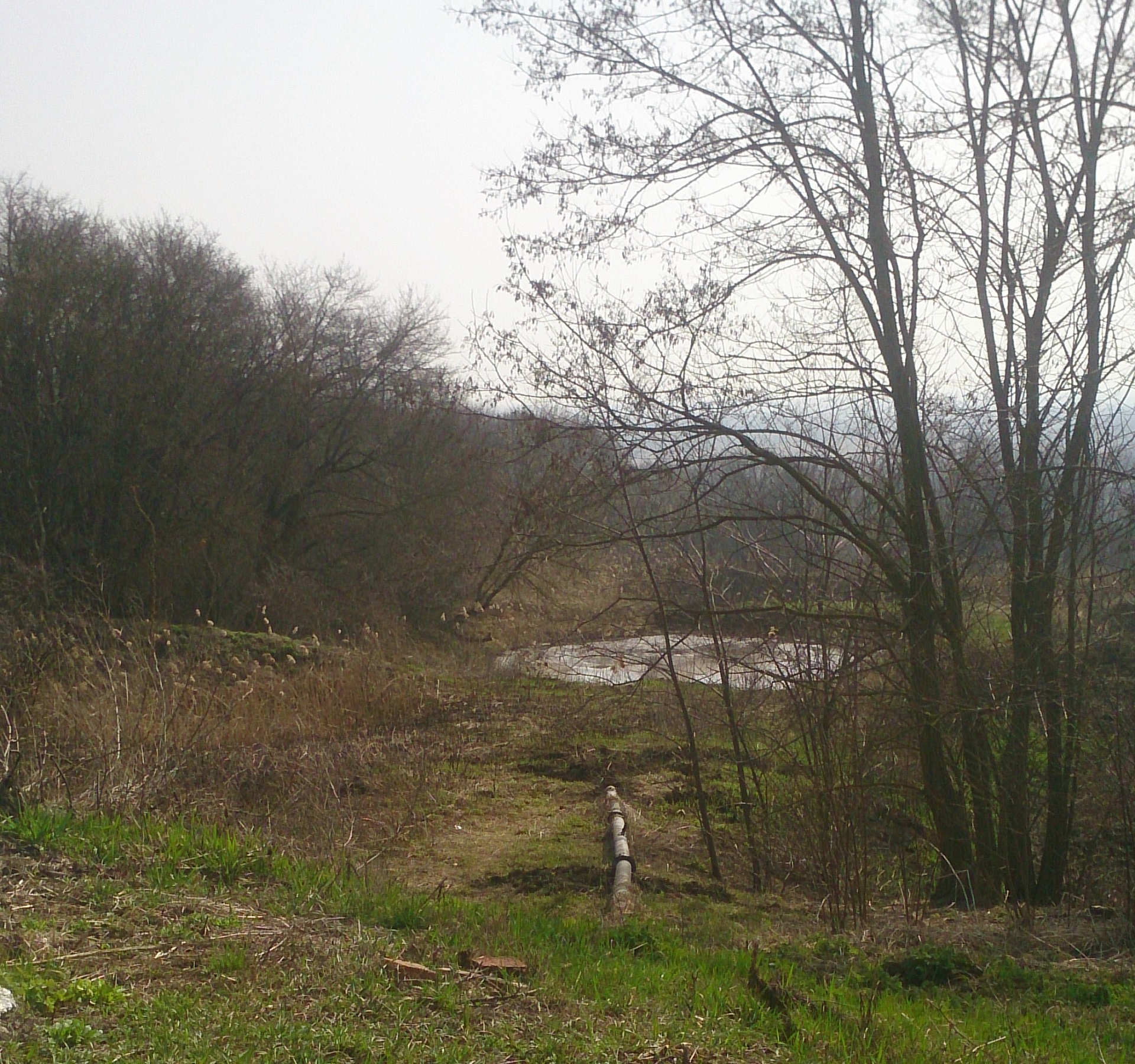 Инспекторы Центрально-Черноземного управления Росприроднадзора наложили взыскания на МУП «Рыльские коммунальные сети» в размере 430 тыс. рублей