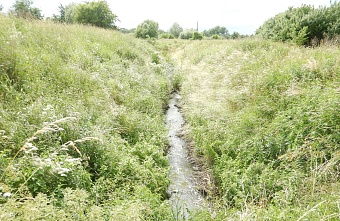 Амурская область: возмещение экологического ущерба