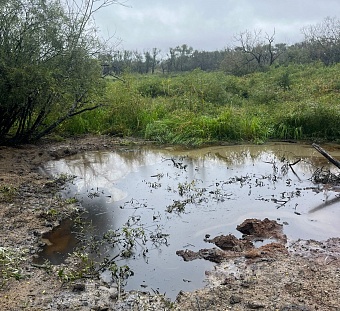 ООО «АмурДорСервис» выплатило более 33,9 млн рублей за загрязнение почвы