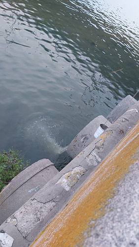 В части акватории Воронежского водохранилища установлено превышение концентрации загрязняющих веществ по ряду показателей почти в 70 раз 