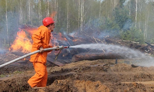 Нижегородский Росприроднадзор проверил готовность Керженского заповедника к началу пожароопасного сезона