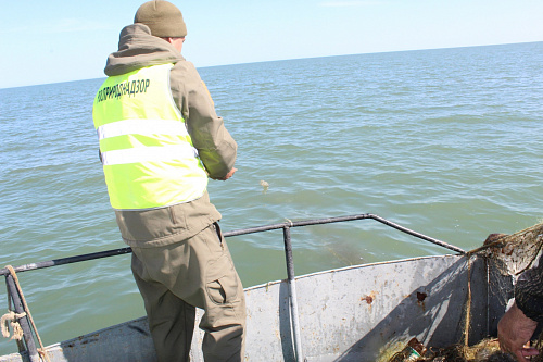 На Азовском море проведен рейд по охране биоресурсов, занесенных в Красную книгу